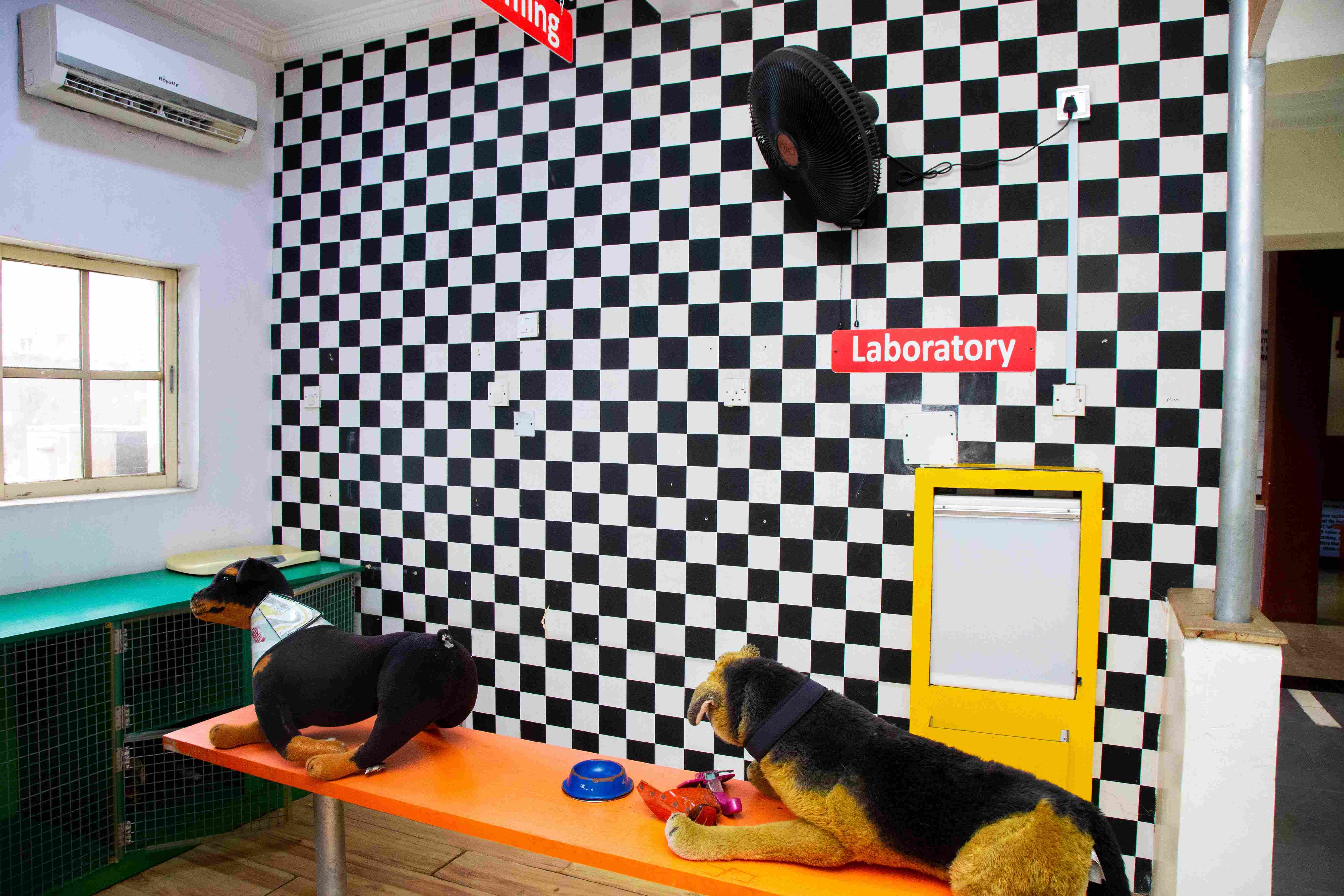 Precious Paws (Veterinary Clinic) - Image 3