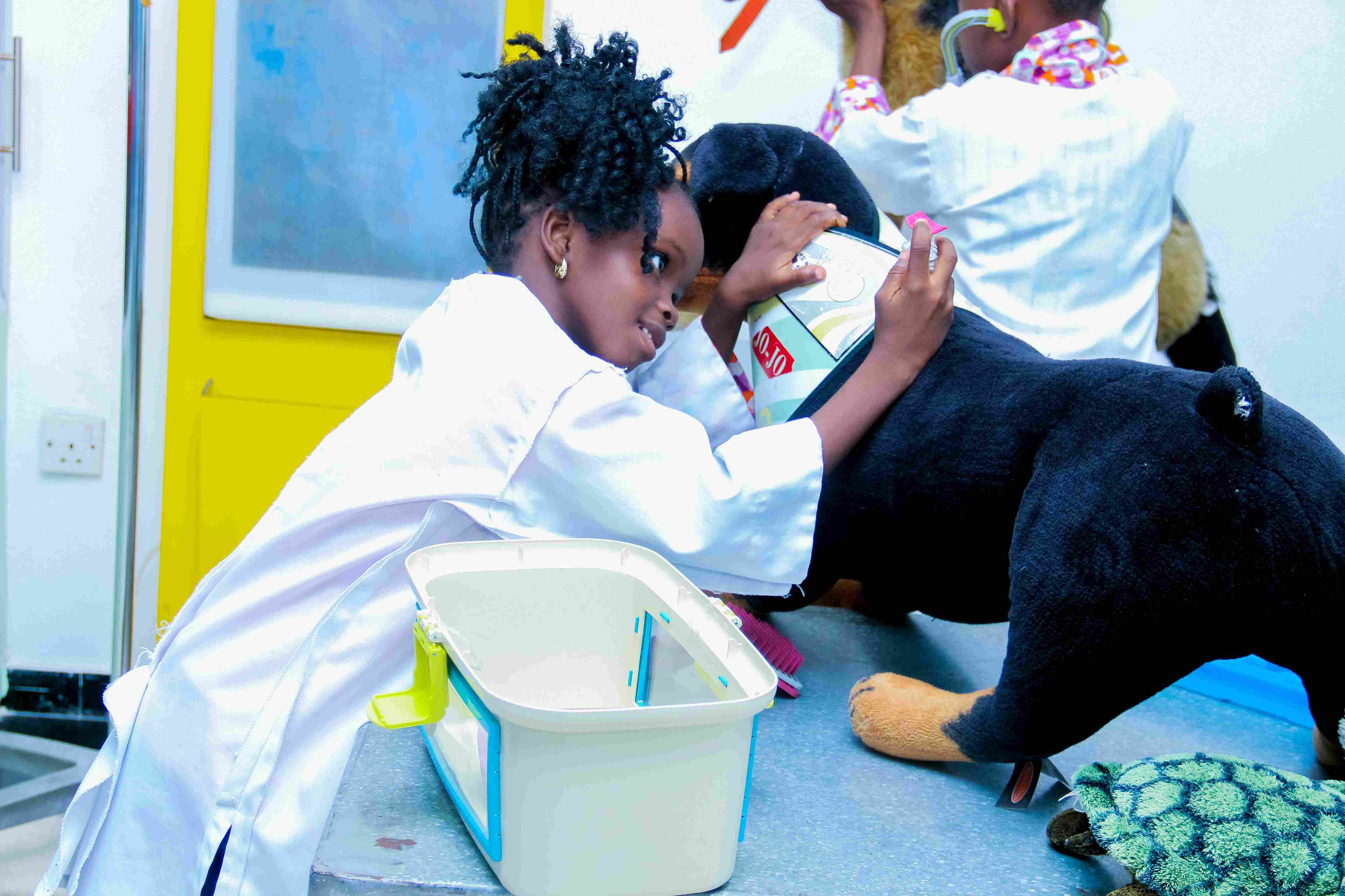 Precious Paws (Veterinary Clinic) - Image 4