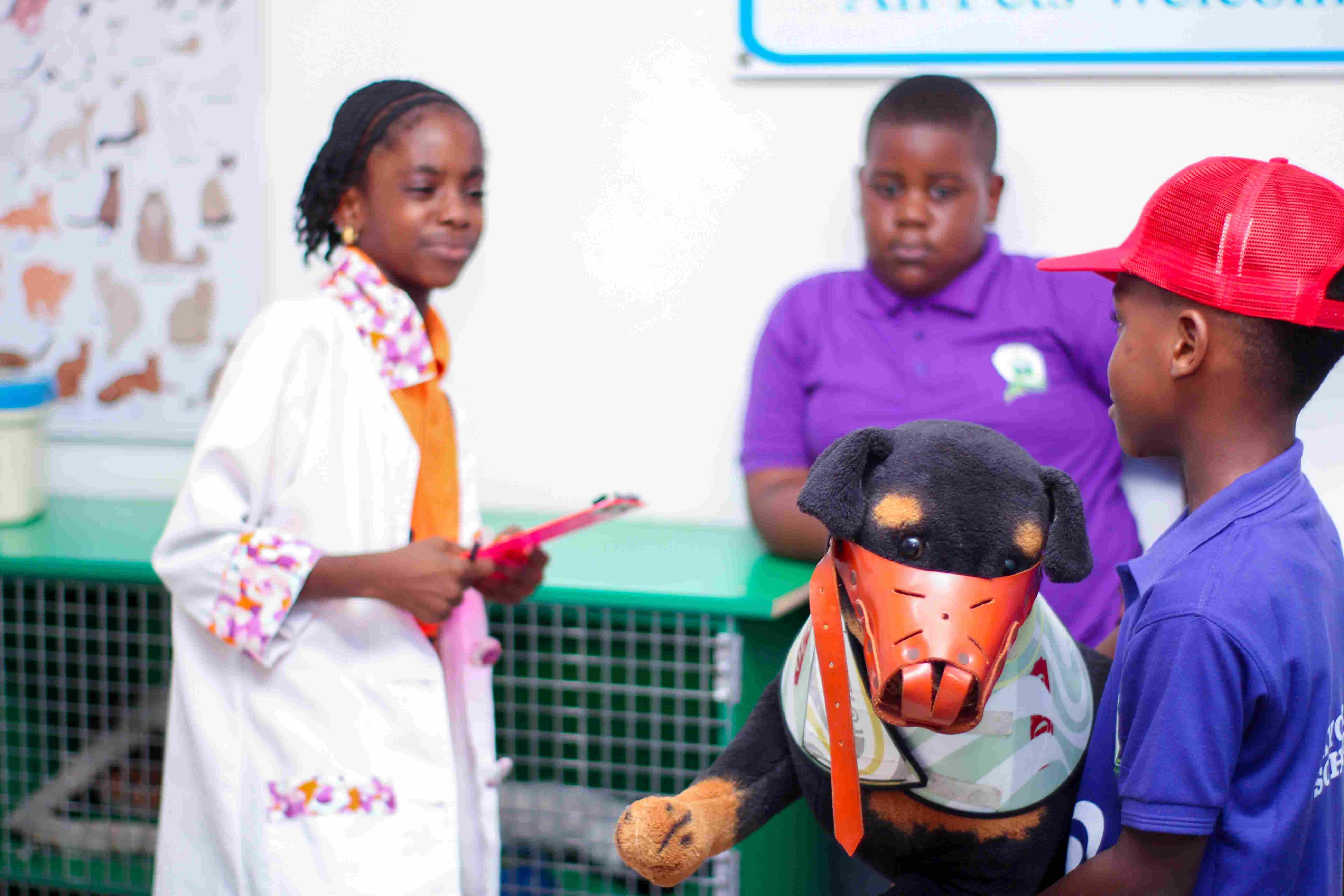 Precious Paws (Veterinary Clinic) - Image 6